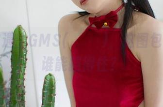 当镂空遇上GMS(고말숙)，这图包的魅力谁能挡得住？