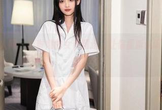 Xiuren秀人网 – 芈琳娜的女仆精选，让你重新认识“打理与诱惑”