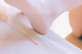 霸气红色：不呆猫又一高清作品，震撼来袭！
