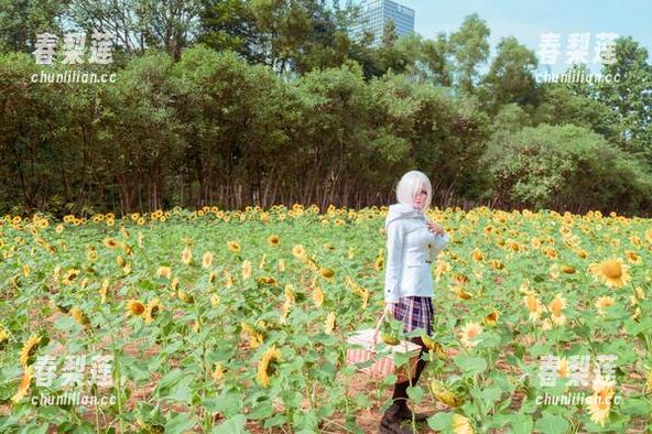 索尼子的镜头下：塔塔_Lo1iTa的写真集资源，难道我们也是她灵感的来源吗？