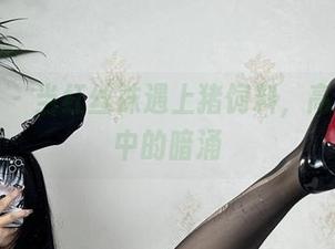 微密圈 – 当红丝袜遇上猪饲料，高清图册中的暗涌
